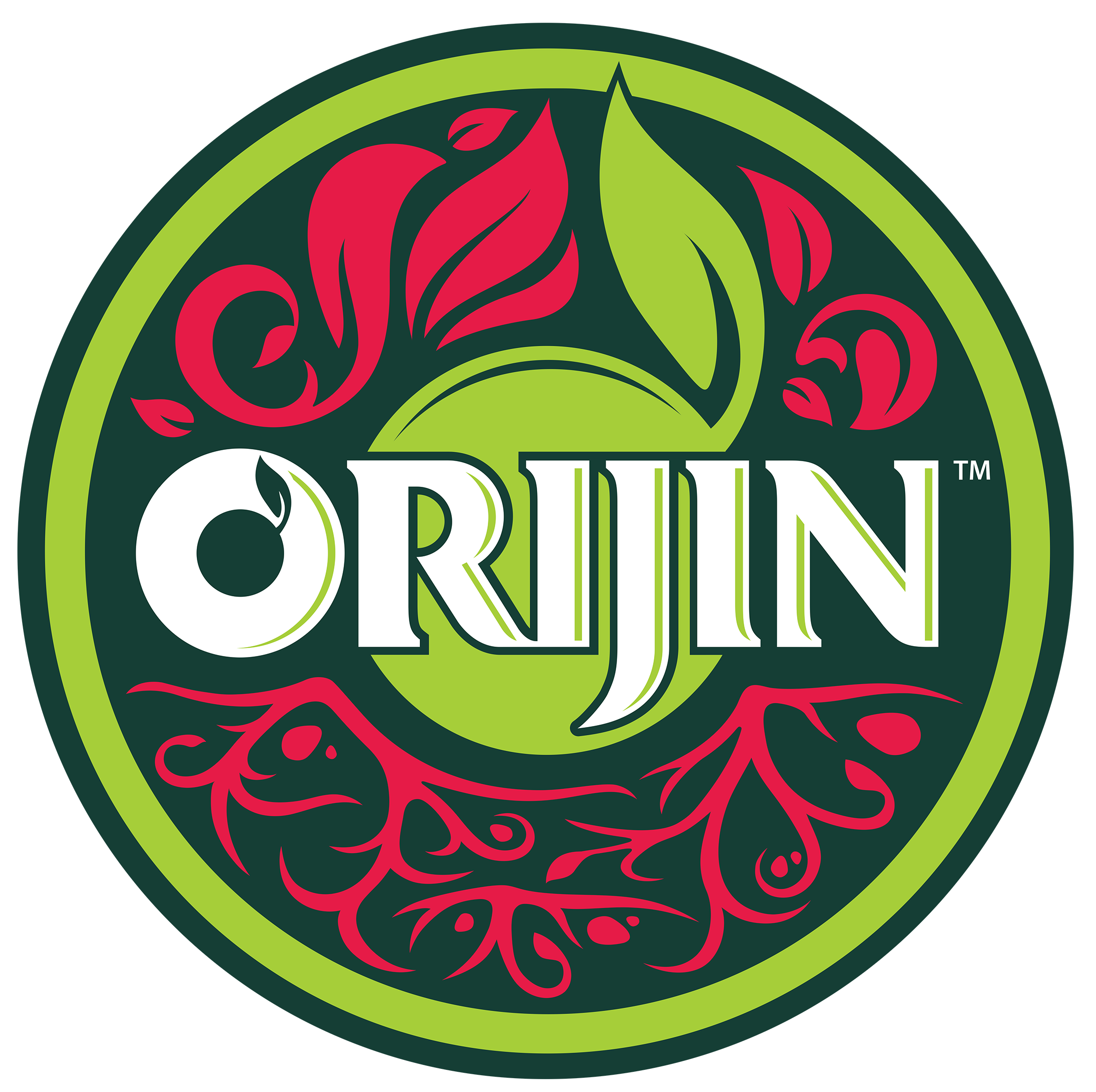 Orijin